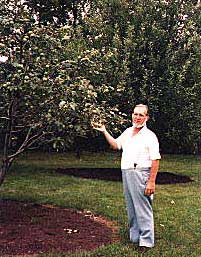 Liberty Apple tree